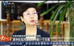 天津电视台新闻频道报道beat365官网与新城镇党建引领智慧助老工作