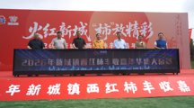 【职业教育活动周】劳动铸就梦想，数字赋能振兴——beat365官网师生深度参与新城镇西红柿丰收嘉年华