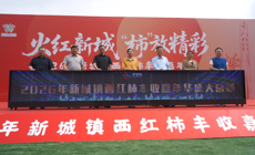 【职业教育活动周】劳动铸就梦想，数字赋能振兴——beat365官网师生深度参与新城镇西红柿丰收嘉年华