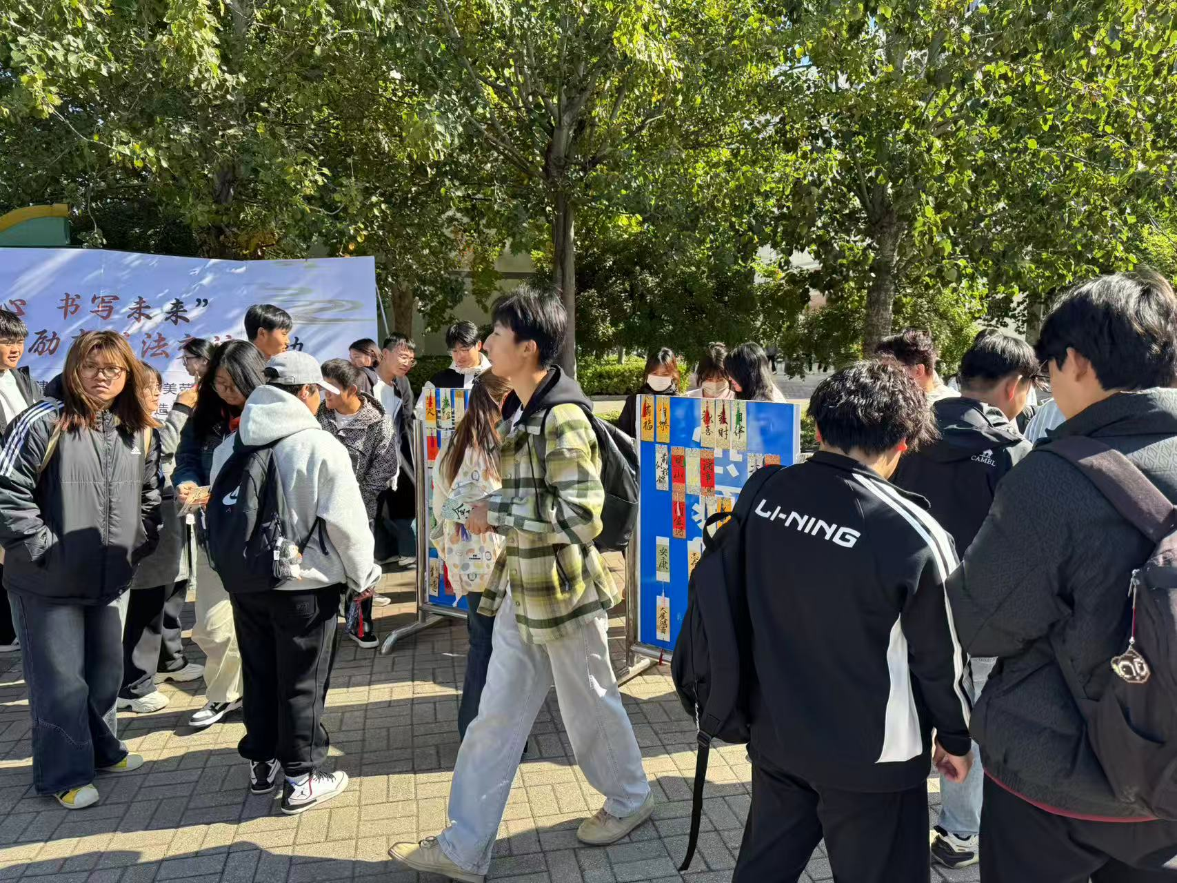 图片3